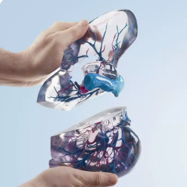 Resin-Material Vollfarb 3D-Druck Polyjet für medizinische STL-Dateien