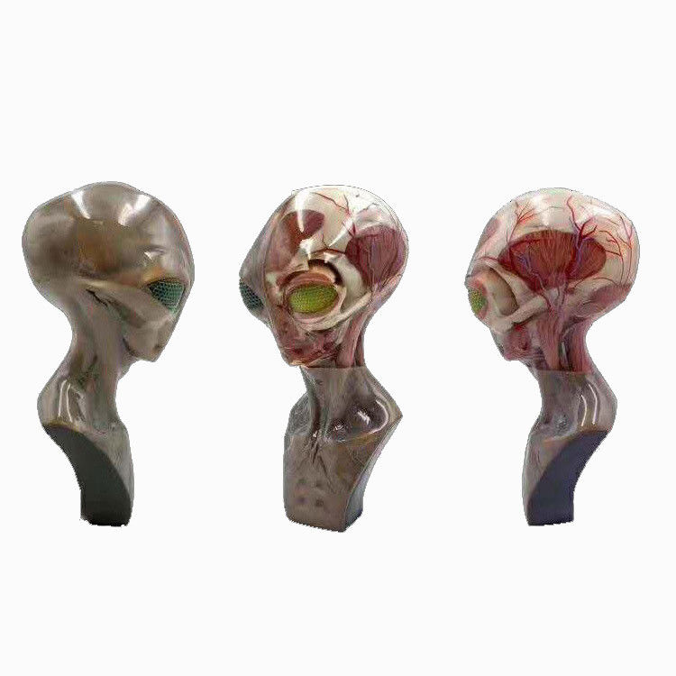 Hoher Auflösung Multicolor 3D-Druck Service Medizinische mit SLM-Prozess