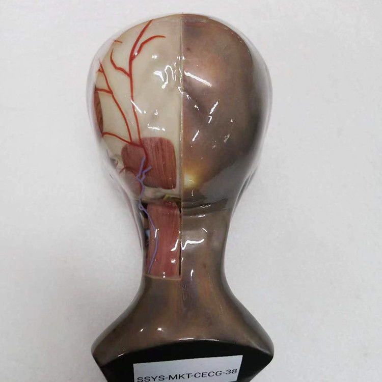 Kunststoff-RESIN Mehrfarbiger 3D-Druck-Service Integrierte Beschichtung Oberfläche